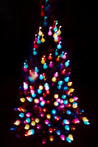 Illustration for article titled Photo Contest: Christmas Lights